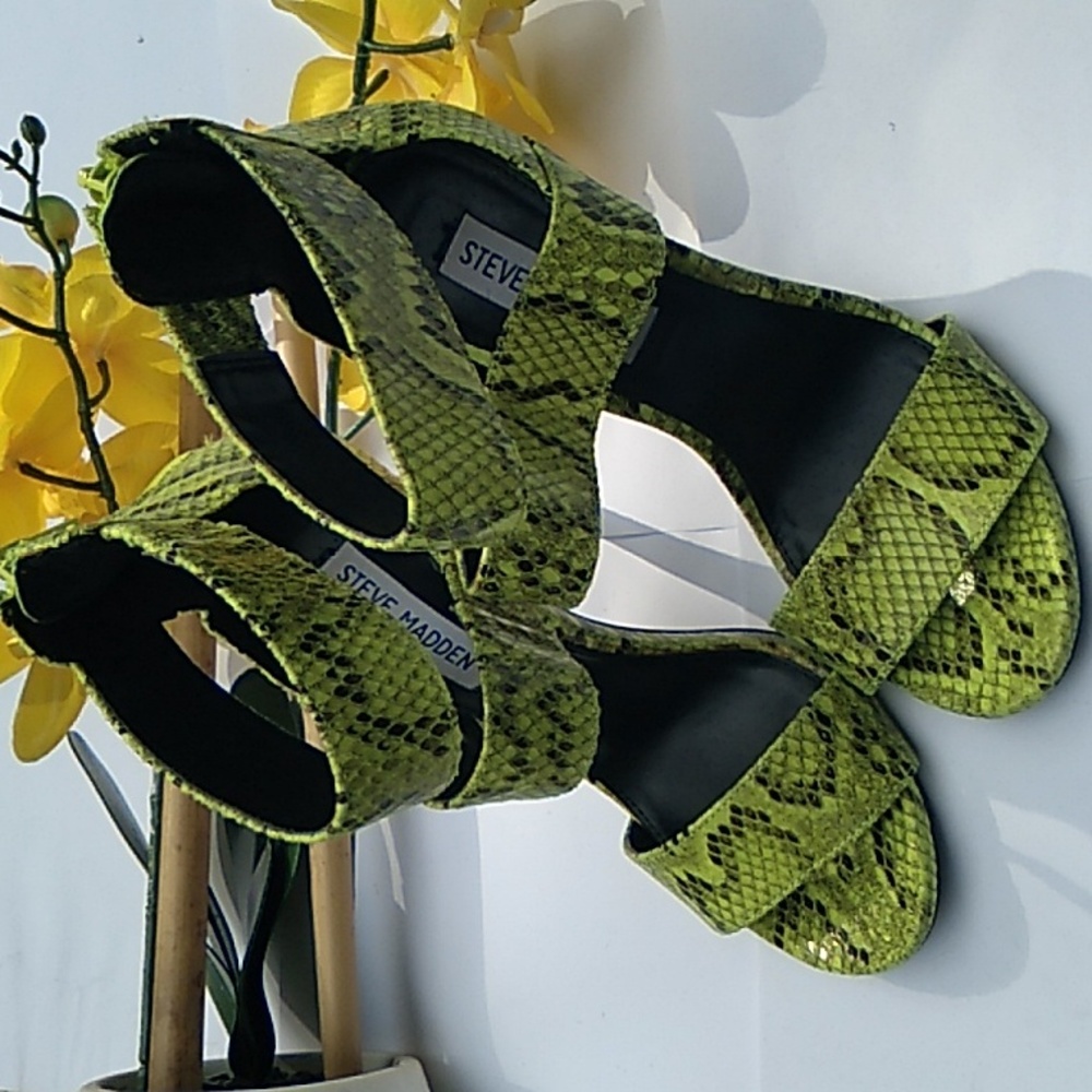 Steve Madden Shoes